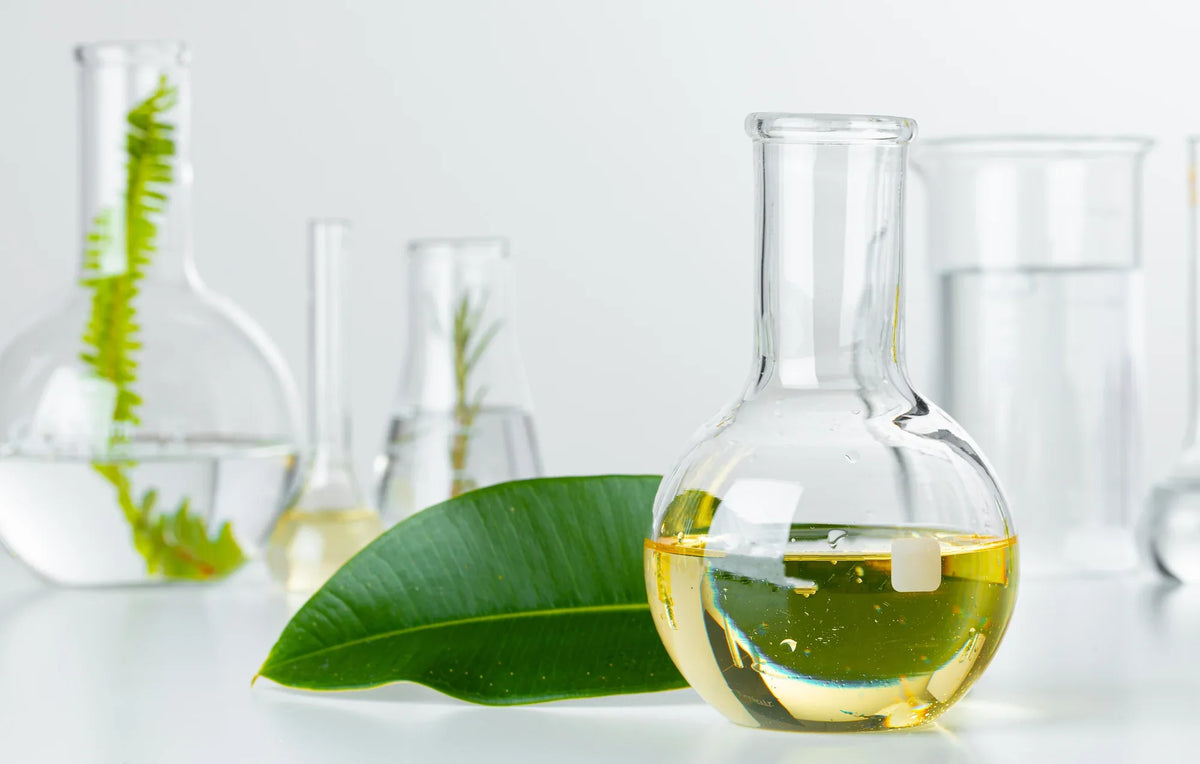 Comedogenic Ingredients In Cosmetics That Can Cause Breakouts